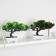 Bonsai in the pot "coniferous tree" 10.5x18 cm mix