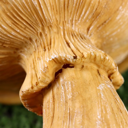 Garden figure - a drinker "Bird on a mushroom" 13x15x20cm ////-4