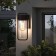 Street lamp Elektrostandard, Lab, 126x120x295 mm, E27, brown color