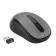 Acer OMR134 mouse Optical (1000DPI) Wireless USB for a laptop (2but)