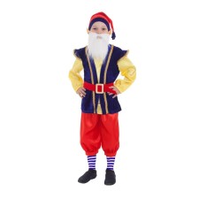 Carnival costume 