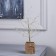 LED bush "Drops of dew" 45 cm, 24 LED, AAX3 batteries (not included), glow warm white