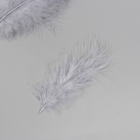 Pen of decorative goose downy "gray" set 40 pcs h = 10-15 cm-1