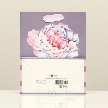 Gift packet "Pion", 18 x 22.3 x 10 cm-1