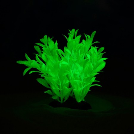 The plant is artificial aquarium, luminous, 10 cm, green-5