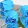 Soap roses, blue, set 6 pcs.