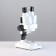 Laboratory compact microscope, multiplicity 10, backlight