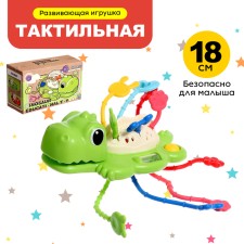 Developing toy 