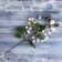 Decor "Winter Magic" White Berries leaves, 35 cm