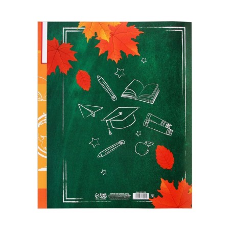 Portfolio in the folder with a “schoolboy” mount, 10 sheets-undergraduate, 21.5 x 30 cm-15