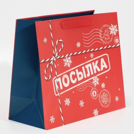 Laminated horizontal “Parcel for you”, MS 18 x 23 x 10 cm, New Year-1