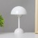 Night "Kyut" LED from 3xlr44 batteries 10x10x17 cm Risalux