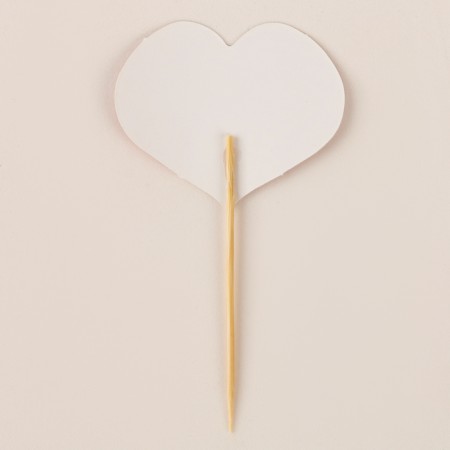 Skewers "for lovers", set of 12 pcs.-3