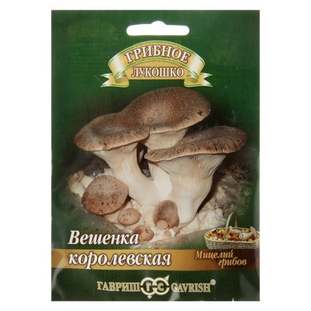 Seeds of mycelium "Royal oyster mushroom", on a tree stick, 12 pcs.