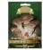 Seeds of mycelium "Royal oyster mushroom", on a tree stick, 12 pcs.