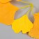 Artificial plant for creativity "ginkgo leaves" set of 6 pcs orange-yellow 8 cm