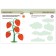 Development through the game "Seasons". Method Menessori