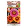 Seeds of Gatsaniy flowers "Kiss Flame", F1, mixture, 10 pcs