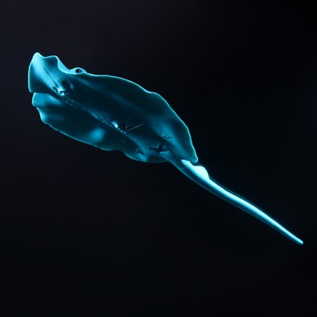 Decor for the Aquarium "Skat", silicone, with a neon effect, 18 x 8 cm-2