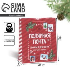 Пакет ламинированный вертикальный «Полярная почта», ML 21 х 25 х 8 см , Новый год