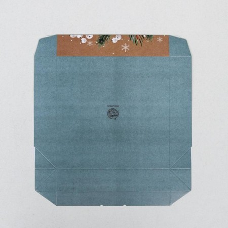 Folding box "Pressent", 20 x 20 x 4 cm, new year-5