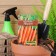 Carrots "Tushon" "Leader", 2 g,