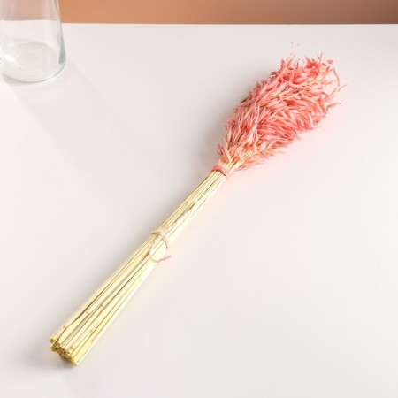 Set of dried flowers "oats", banch length 55-65 (+/- 6 cm), peach-3