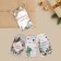 Schildik decorative in the set "Magic Holiday", 6 pcs, 17 x 15 cm, New Year