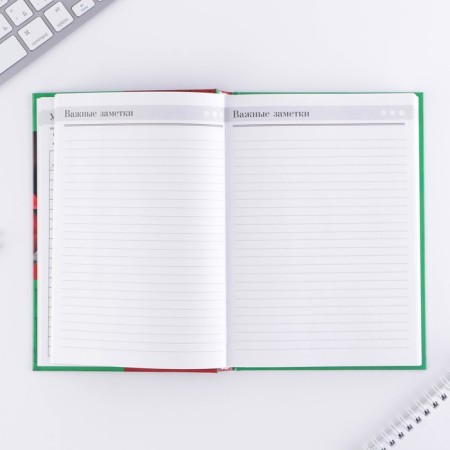 Diary “Teacher: Teacher Diary”, firm cover cardboard 7BC, A5 format, 160 sheets-10