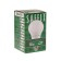 LED LED SAFFIT SBA6015, A60, E27, 15 W, 230 V, 2700 K, 1,500 lm, 220 °, 118x60 mm