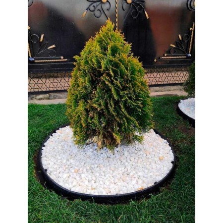 Garden plastic curb, 38 mm, green, 10 m + 30 stakes, "mango"-3