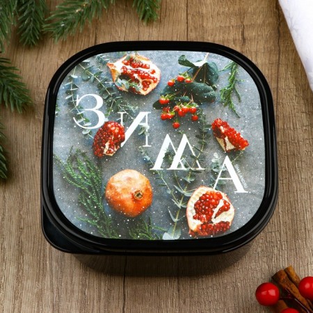 Lunch-Box "Winter", 700 ml-1