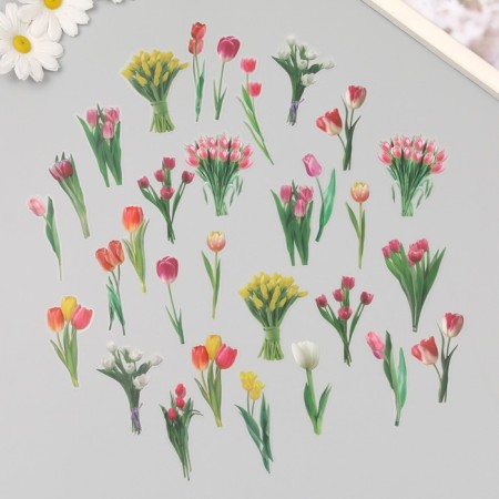 Plastic stickers "Spring flowers. Tulips" set 40 pcs 15x8 cm