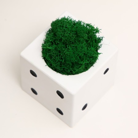 Concrete Kashpo "Player bone" with moss white with black 7x7x7 cm (moss green stabilizir.)-3