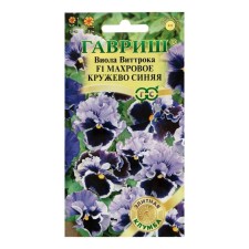 Viola flowers 