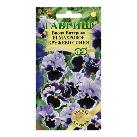 Viola flowers "Trevior Lace", 4 pcs.