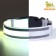 Collar with backlight double strip size S, Osh 35-43 x 2.5 cm, 3 glow modes white