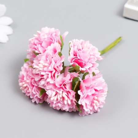 Flowers for decorating "Astra Pale pink" 1 bouquet = 6 colors 10 cm-1