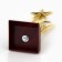 The Cup "Favorite Educator", award figure, gold, plastic, 18 x 6 cm.