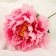 Artificial flowers "velvet peony" 15x55 cm, pink