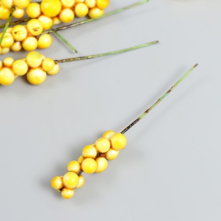 Decor for creativity "Vetochka with berries" yellow set 10 pcs 1x1x9 cm-1