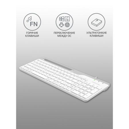 Keyboard A4Tech FSTYLER FK25 White/Gray USB Slim-2
