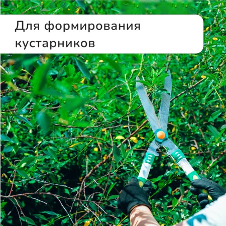 Kustorez, 18.8 "(48 cm), with plastic pens, Greengo-1