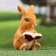 Garden figure "Bunny reads the book" 10x8x15cm