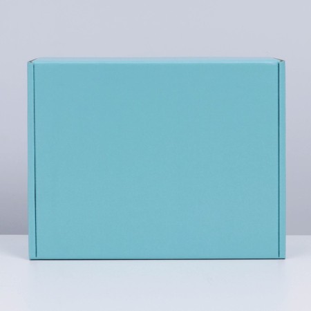 Gift folding box, packaging, Tiffany, 27 x 21 x 9 cm-5