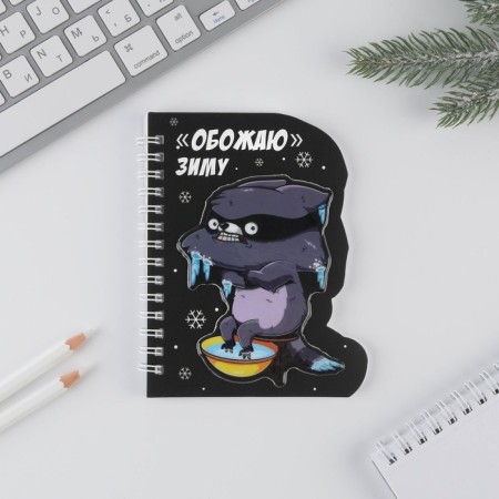 Notepad with a figure element "Winter characters", 40l Mix-2