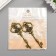 Decor Metal for creativity "Key with crown" under brass (G0111) 8x3 cm