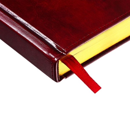 Dated diary of 2025, A5, 168 sheets in the ruler, leatherette "Nebraska", gold cut, burgundy-4
