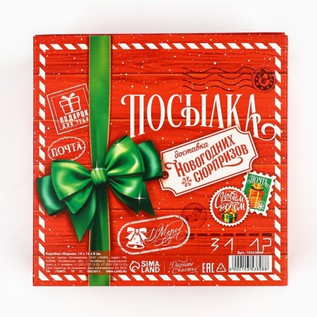 Box the national team "New Year's package", 14 x 14 x 8 cm, New Year-5