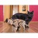 Mechanical team model, wooden designer "Cat (cat)"